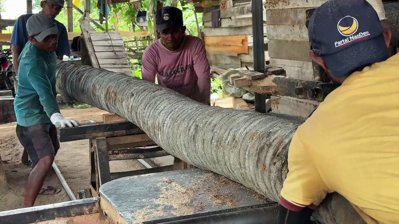 Transformation of Coconut Wood into 2x20 Using a Sawmill