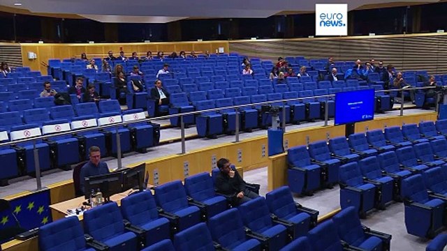 Ue, un sistema di difesa con i droni sul fianco orientale per scoraggiare la Russia da aggressioni