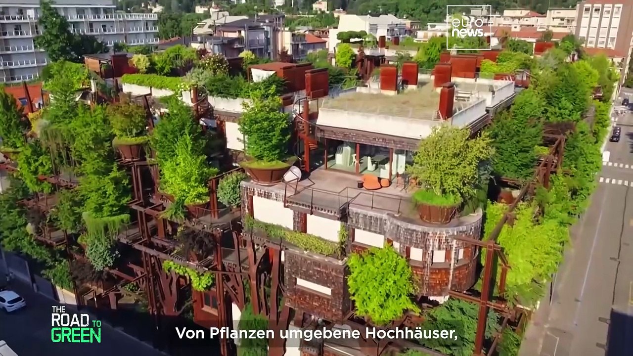 Erklärt: Warum es bei der Begrünung von Städten nicht nur darum geht, mehr Bäume zu pflanzen