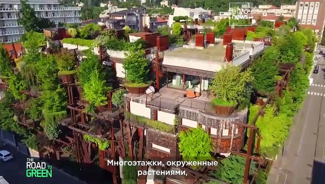 Объясняем: Почему озеленение городов — это не просто посадка большего количества деревьев