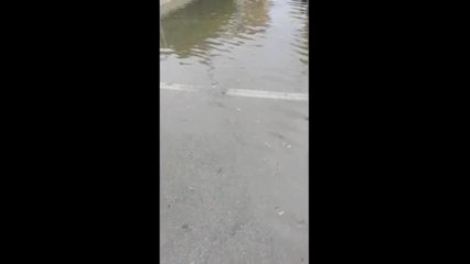 Nubifragio a Caorle, strade allagate: caduti 40 millimetri di pioggia