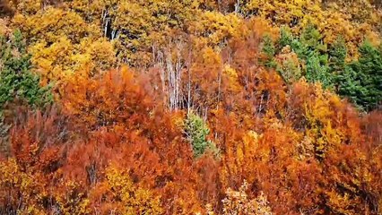 CLM acogerá el foro europeo sobre desarrollo rural