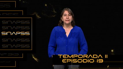 T11 Ep. 19 Sinapsis | La asombrosa tolerancia inmunológica durante el embarazo