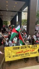 Manifestantes pro-Palestina frente a la ONU