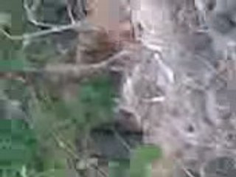 Vidéo017