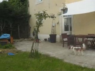 saut extremement dangeureux