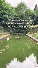 Ignorer les regrets et continuer à avancer #motivation #sagesse #motivationalvideo #conseils