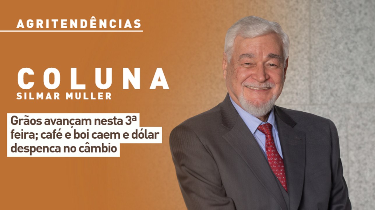 Grãos avançam nesta 3ª feira; café e boi caem e dólar despenca no câmbio