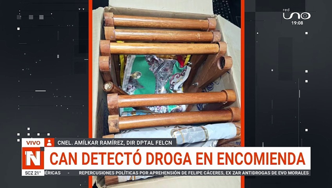 CAN DETECTÓ DR0G4