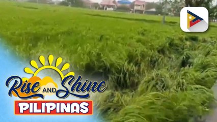 Anim na tripulanteng sakay ng bangkang tumaob sa karagatan ng Cagayan, pinaghahanap pa ng mga awtoridad ayon kay Cagayan PDRRMO Head Ruelie Rapsing