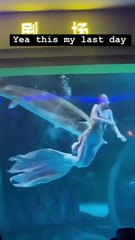 Giant sturgeon tries to eat mermaid