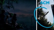 Brisbane woman films ‘dinosaur-like' snake in backyard