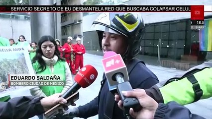 Activistas de Greenpeace escalan Estela de Luz; exigen protección de la selva maya | Milenio Hábitat