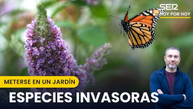 Eduardo Barba reflexiona sobre las especies invasoras: ¿Son todas un peligro para la naturaleza?