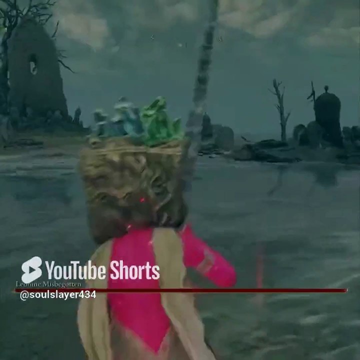 Leonine Misbegotten RL1 No Sprint Fast Kill