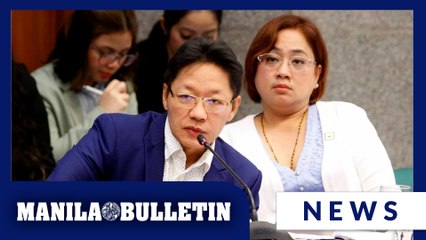Palace: Discayas must return alleged ill-gotten wealth before witness protection