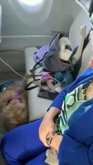 "Rivoluzione nei cieli italiani: i cani di grossa taglia volano in cabina con Ita Airways"