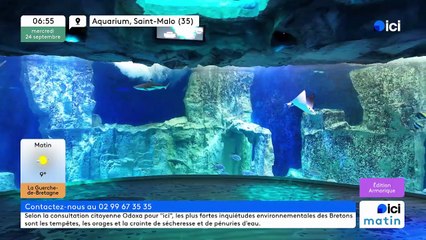 24/09/2025 -  ici matin par ici Armorique en vidéo