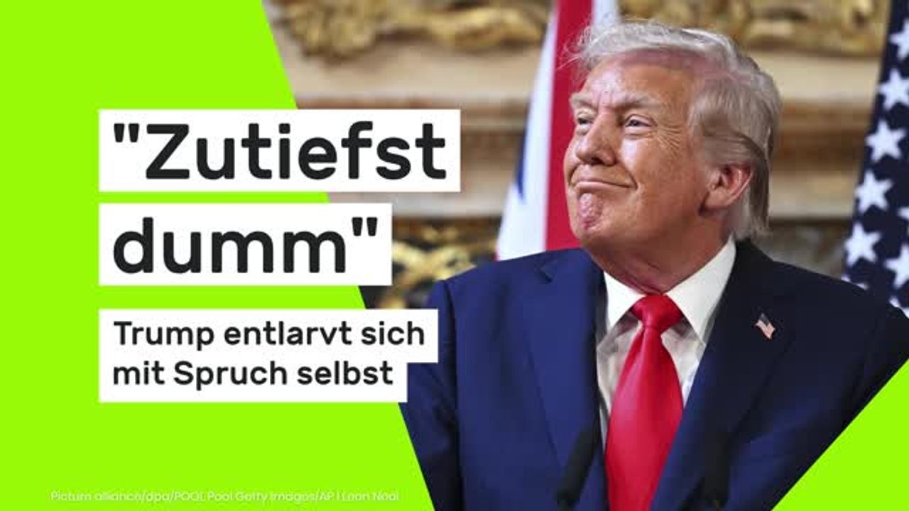 'Zutiefst dumm'- Trump entlarvt sich mit Spruch selbst