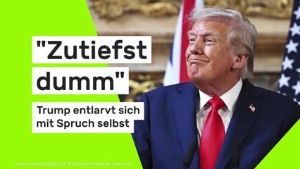 "Zutiefst dumm"- Trump entlarvt sich mit Spruch selbst