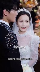 She Erased Love Then Regretted It Chinese Drama - Full Movies English Sub