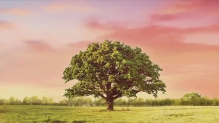 Na miłość nie ma recepty - 45