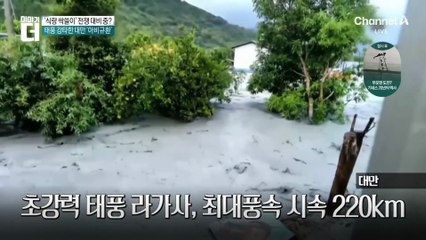 ‘올해 최대 태풍’ 라가사 덮친 대만…상황은?