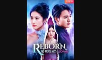 REBORN NO MORE MISS WRONG