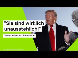 "Sie sind wirklich unausstehlich!" - Trump attackiert erneut Reporterin