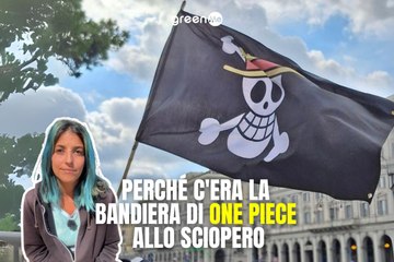 Perchè c'era la bandiera di One Piece allo sciopero