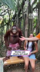 Mischievous Monkey Turns Into a Gentleman in Thailand 🐒😂