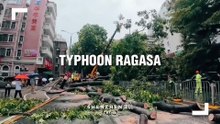 Super Typhoon Ragasa Shut Down Shenzhen!