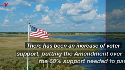 Will Florida Be The Next State to Legalize Weed?