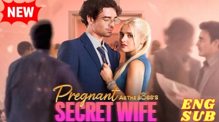 Pregnant As The Boss's Secret Wife