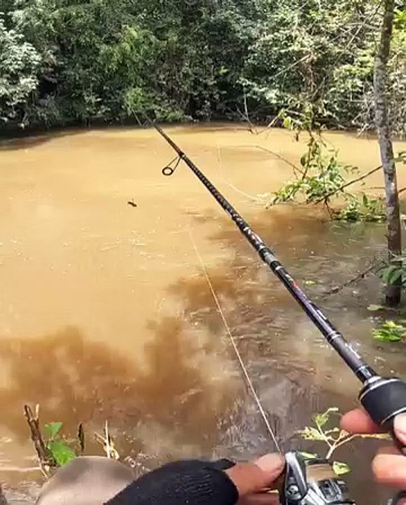 Mancing sungai