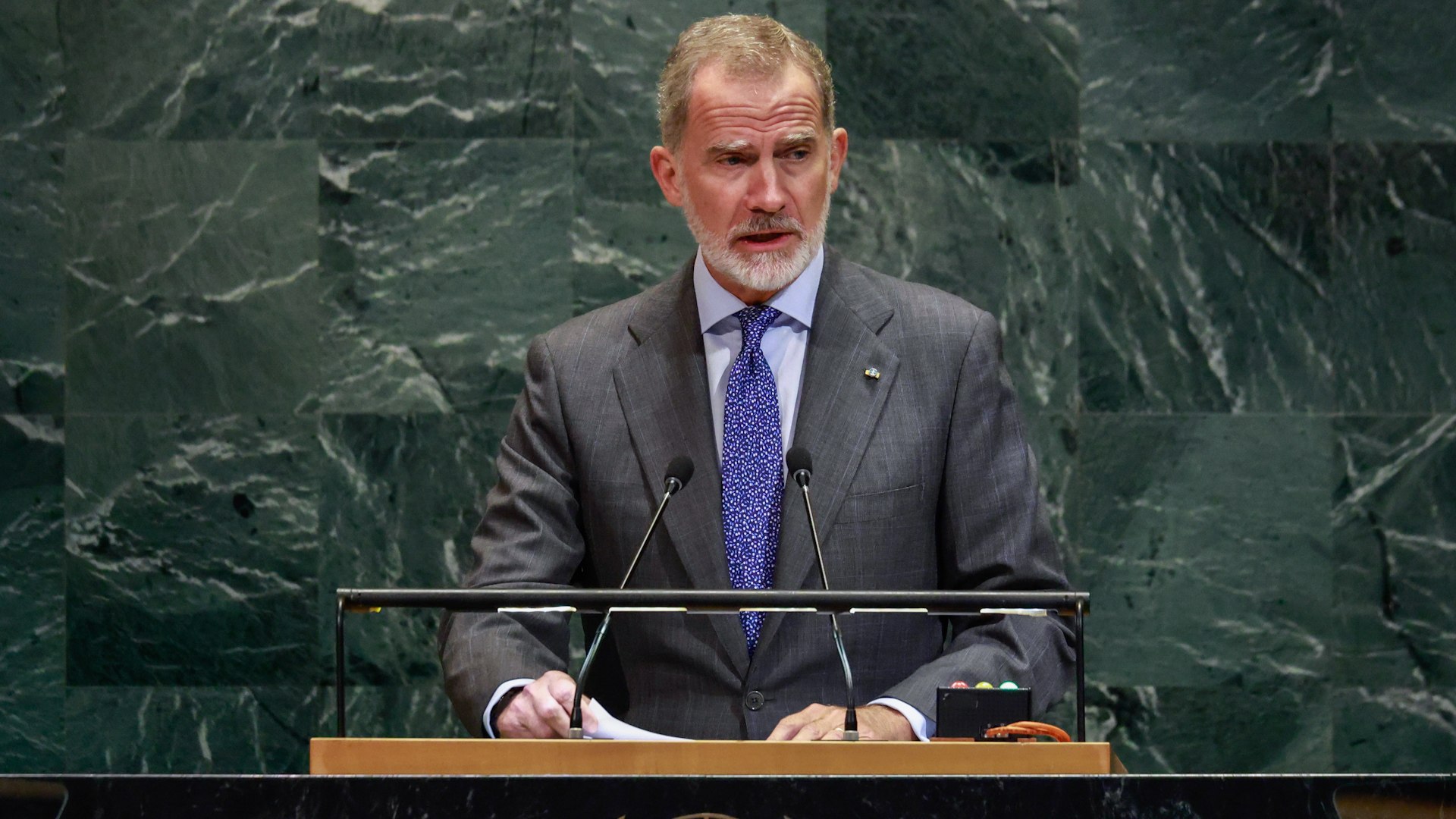 El Rey Felipe VI ante la ONU: "¡Detengamos ya esta masacre en Gaza!"