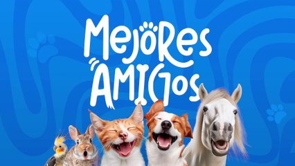 tn7-publireportaje-banco-popular-240925