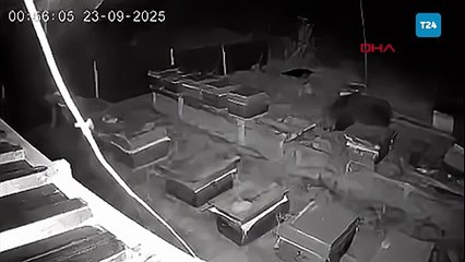 Arıcıların 4 kovan balını yiyen bozayı kamerada