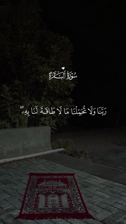 تلاوة من سورة البقرة بصوت القارئ الشيخ سعد الغامدي