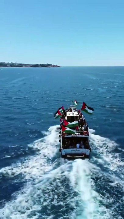 free free free Palestine #freepalestine #trending #shorts