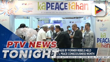 Fair showcasing products made by ex-rebels held as part of celebration of National Peace Consciousness Month