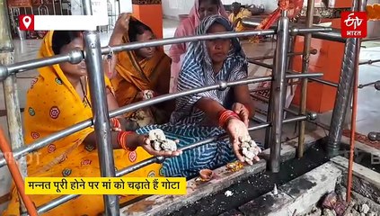 छत्तीसगढ़ में मां बगदाई वन देवी का अनोखा मंदिर, प्रसाद की जगह कंकड़ पत्थर का चढ़ता चढ़ावा