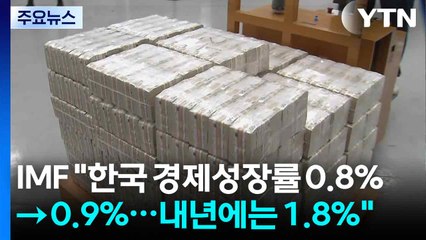 IMF "한국 경제성장률 0.8%→0.9%...내년에는 1.8%" / YTN