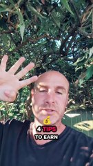 4 Tips to Passive Income from Photos