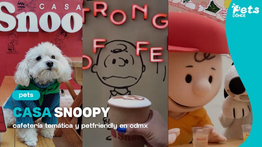 Casa Snoopy: cafetería pet friendly en CDMX