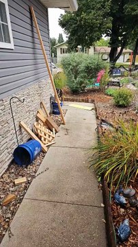 Il ne semble pas aimer le nouveau chat, il préfère la pizza.