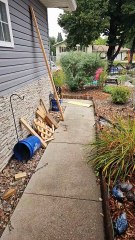 Il ne semble pas aimer le nouveau chat, il préfère la pizza.