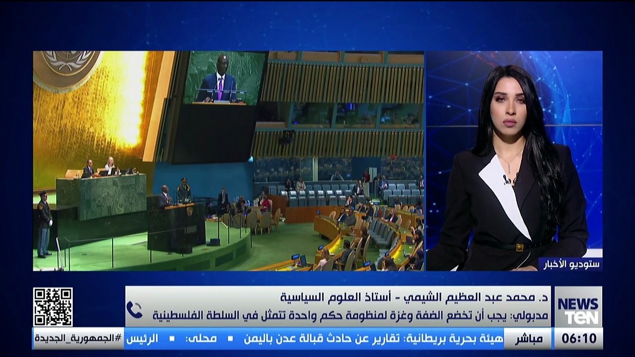 أستاذ علوم سياسية: مصر بذلت مجهودًا جبارًا في الأمم المتحدة من أجل القضية الفلسطينية ورفض التهجير