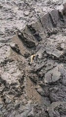 Fishing 🎣 video #fishing #fishingtips #fishingtrip #fishinglife fishing shorts