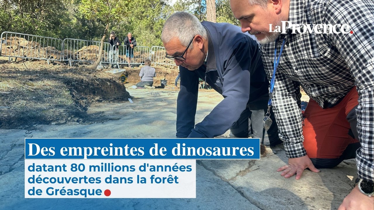 Des empreintes de dinosaures datant 80 millions d'années  découvertes dans la forêt  de Gréasque